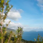 Farm stay Serra D'elci Ascea
