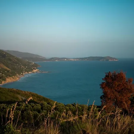 Serra D'elci * أسشيا