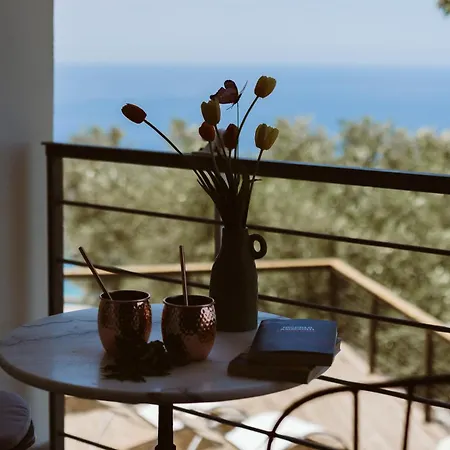 Serra D'elci أسشيا