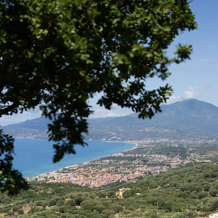 Serra D'elci أسشيا