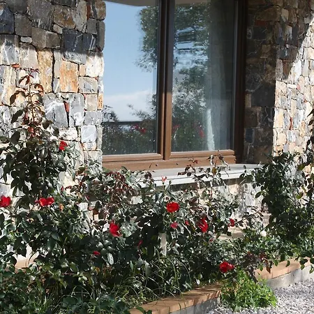 Serra D'elci أسشيا