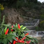 瑟拉德慈公寓 阿谢亚