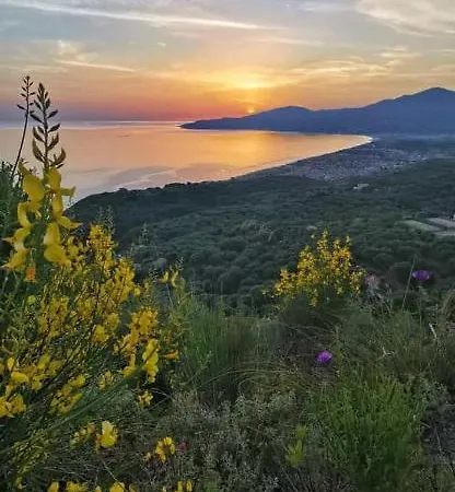 Appartamento Serra D'elci *