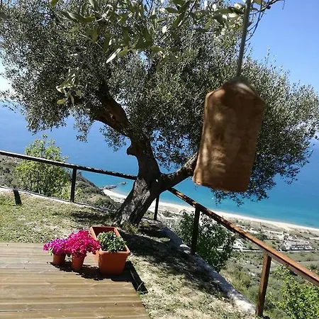 Apartment Serra D'elci