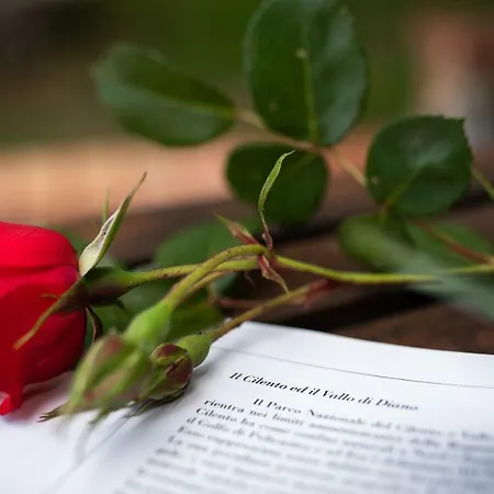 Alloggio per agriturismo Serra D'elci Ascea