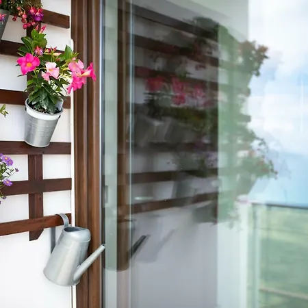 Serra D'elci Alloggio per agriturismo Ascea